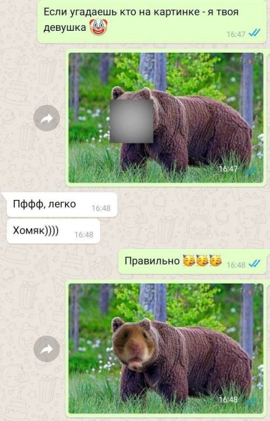 Если ОТГАДАЕШЬ животное