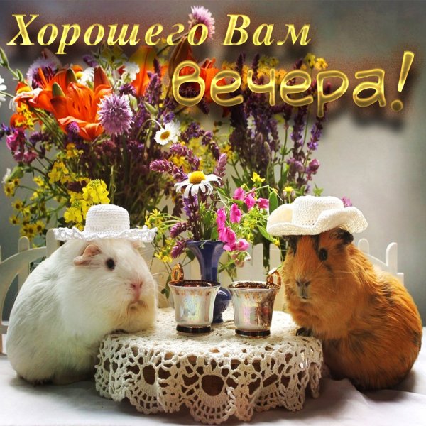 Открытка до.брый внчнр