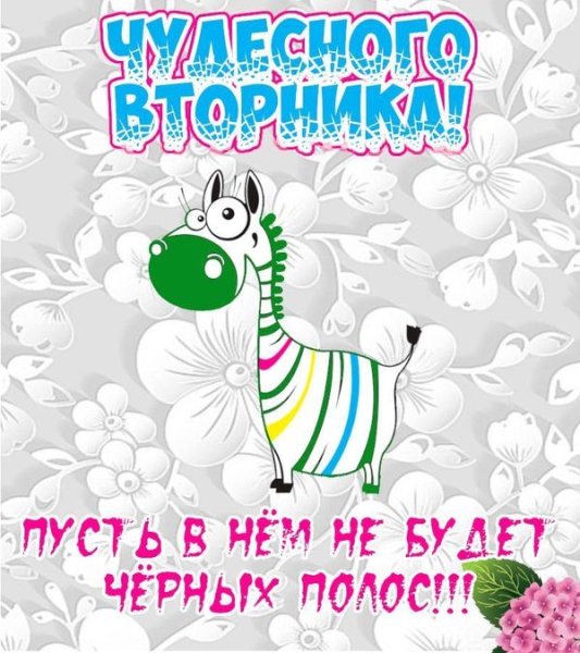 Поздравления с днём вторника прикольные