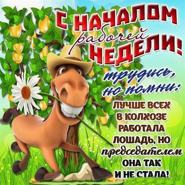 С началом новой рабочей недели