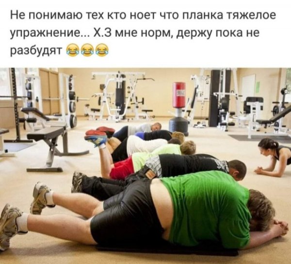 Приколы про планку