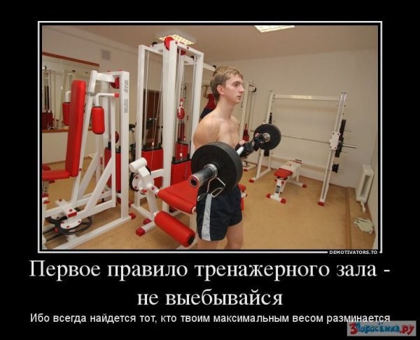 Шутки в тренажерном зале