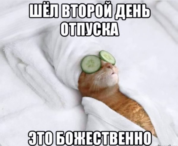 С первым днем отпуска прикольные