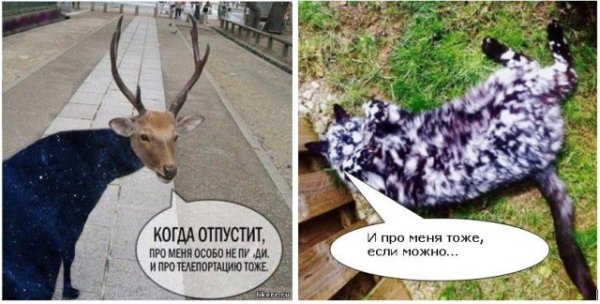 Когда отпустит про меня особо не