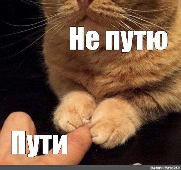 Пути не путю Мем