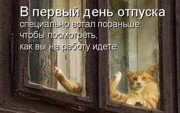 Первый день отпуска приколы