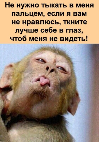 С первым днём отпуска картинки