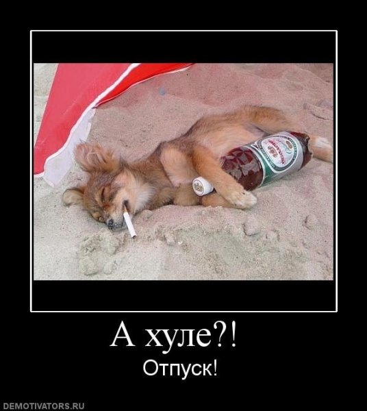 Отпуск прикол