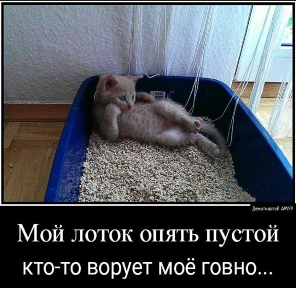 Отпуск картинки прикольные