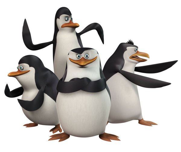 Пингвины Мадагаскара Penguins of Madagascar