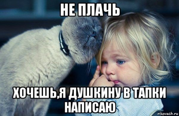 Хочешь я ему в тапки