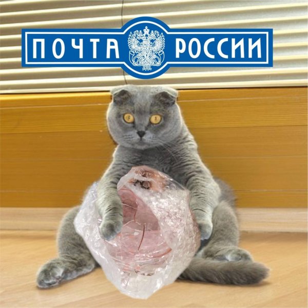 Почта России приколы