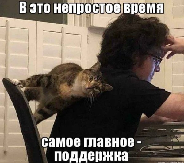 Поддержка прикольные