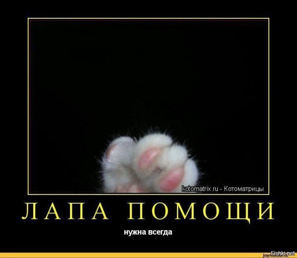 Прикольные словаподдержк