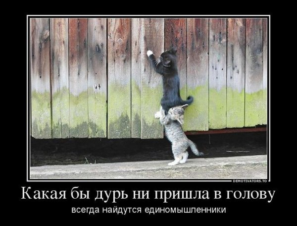 Позитивные демотиваторы
