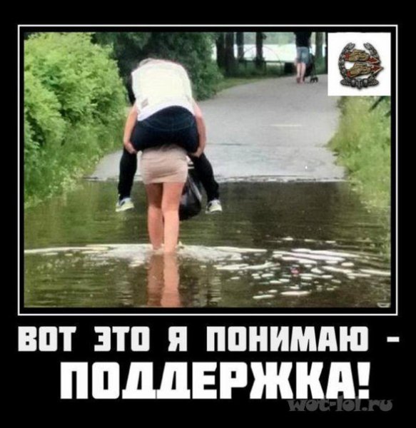 Поддержка смешные картинки
