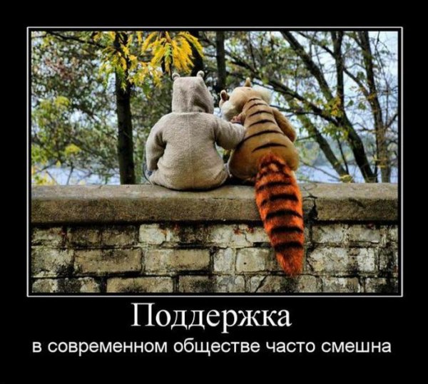 Поддержка прикол