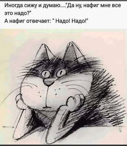 Смешные Рисованные коты