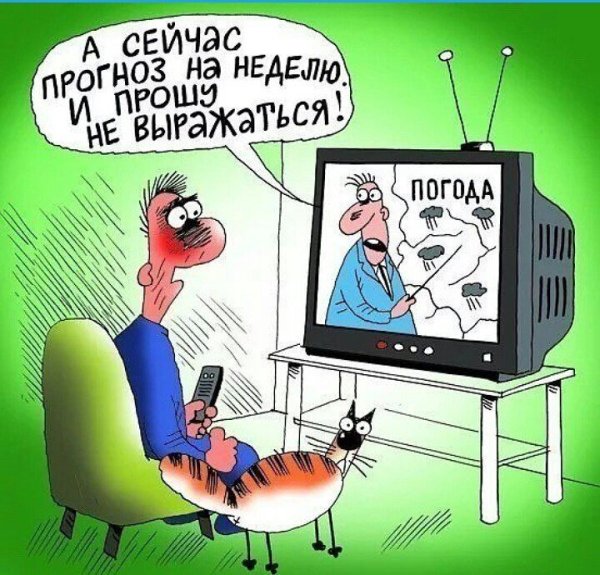 Синоптик карикатура