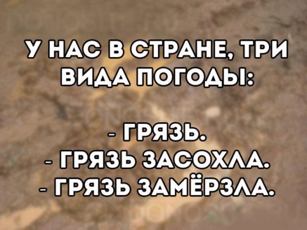 Смешные высказывания о погоде