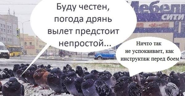 Погода дрянь картинки прикольные