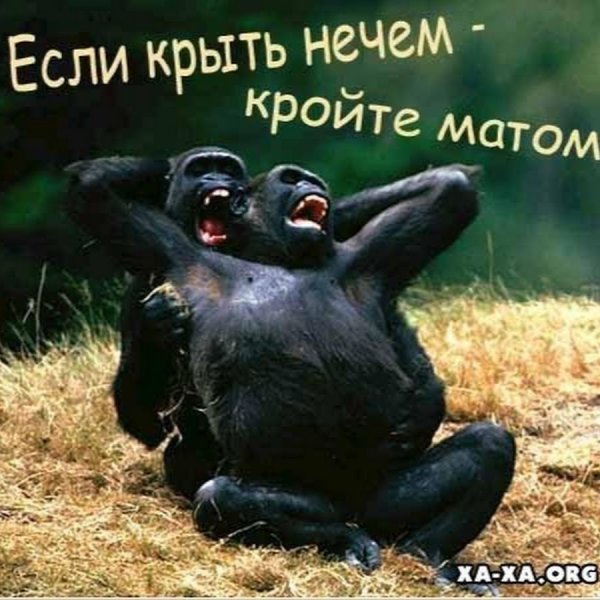 Ржачные картинки с матом