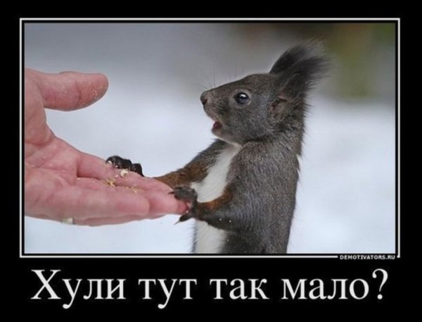 Демотиваторы с матами