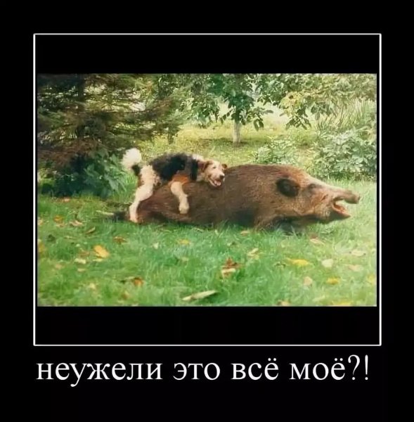 Угарные демотиваторы с матом