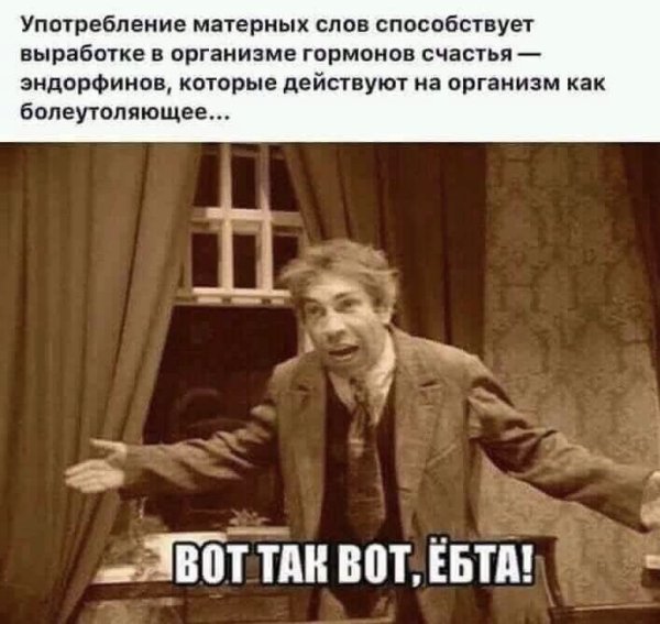 Смешные матерные высказывания