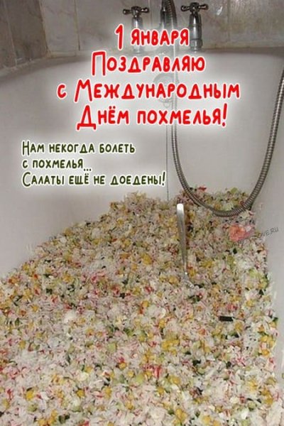 Международный день похмелья открытки