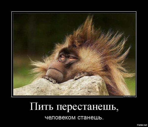 Демотиваторы с бодуна