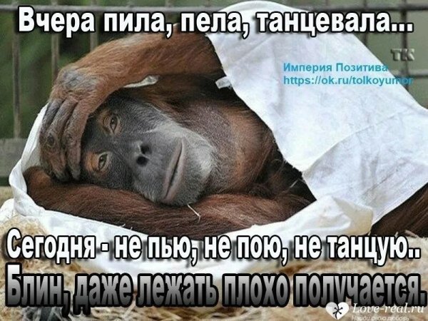 Фото с похмелья утром прикольные