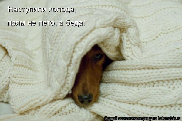 Летом похолодало