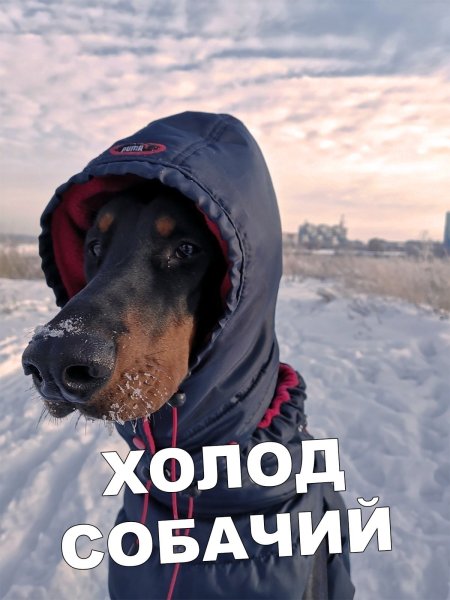 Холод прикольные