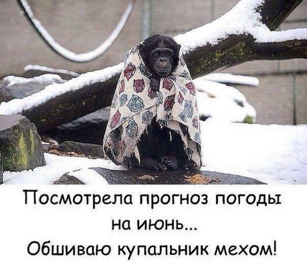 Смешные про Холодное лето