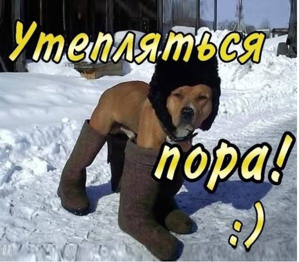 Скоро зима пора утепляться
