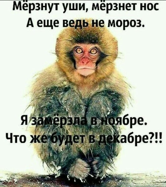 Прикольные статусы про холод