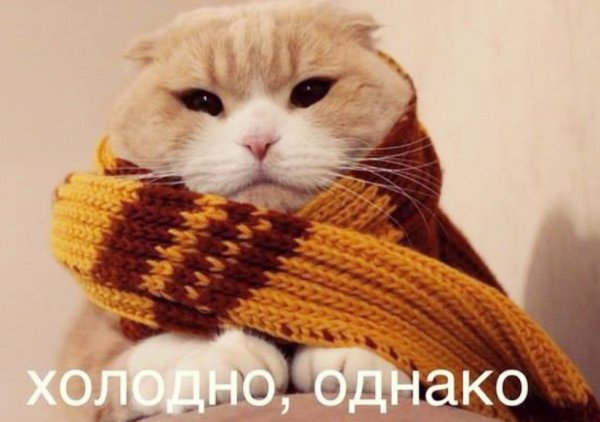 Холодно однако картинки