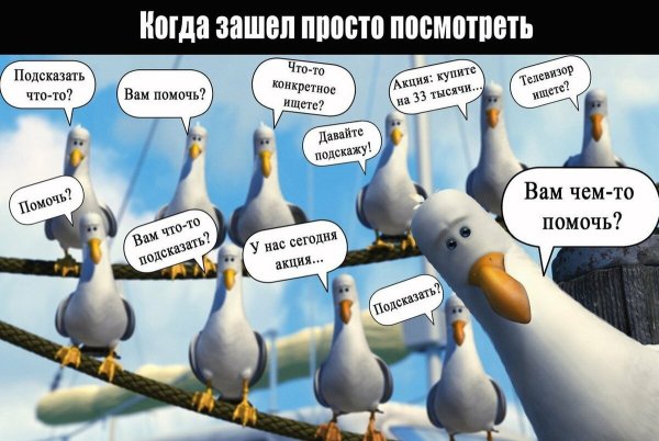 Вам чем то помочь