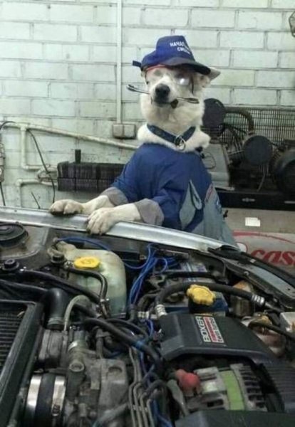 Прикольный автомеханик