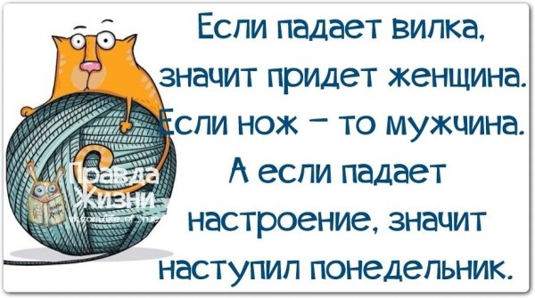 Смешные фразы про воскресенье
