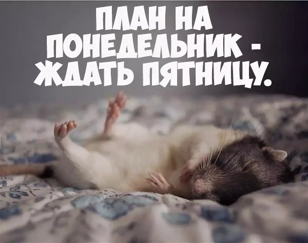 Пятница выходной