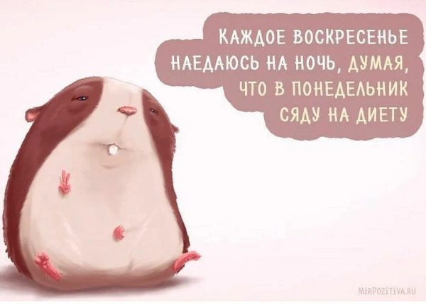 Фразы про воскресенье