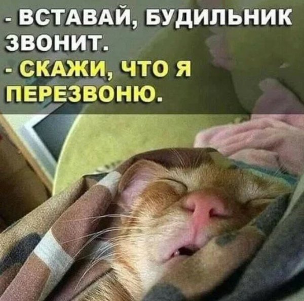 Для поднятия настроения утром