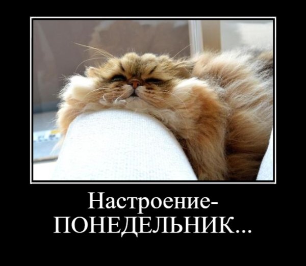 Веселого понедельника