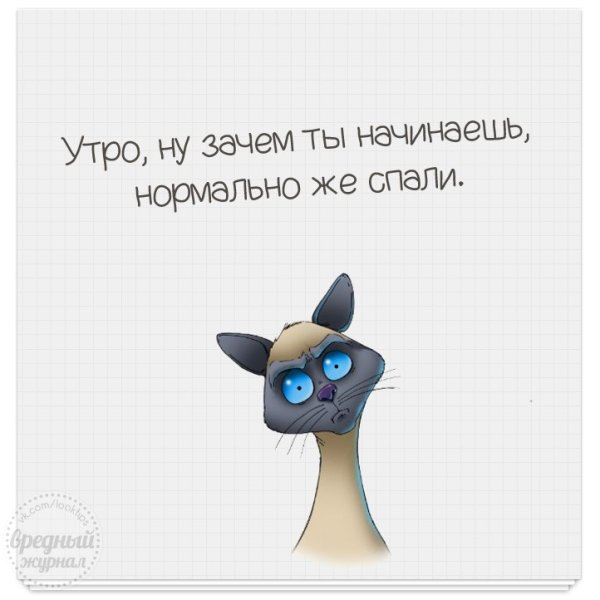 Цитаты про понедельник смешные