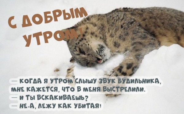 Утро понедельника зима