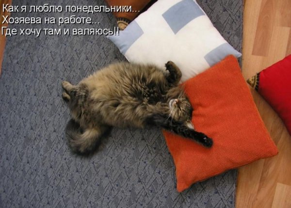 Шутки про понедельник