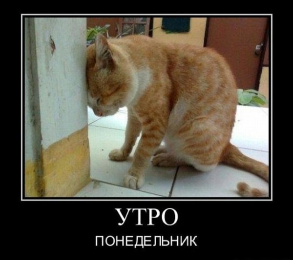 Шутки про понедельник