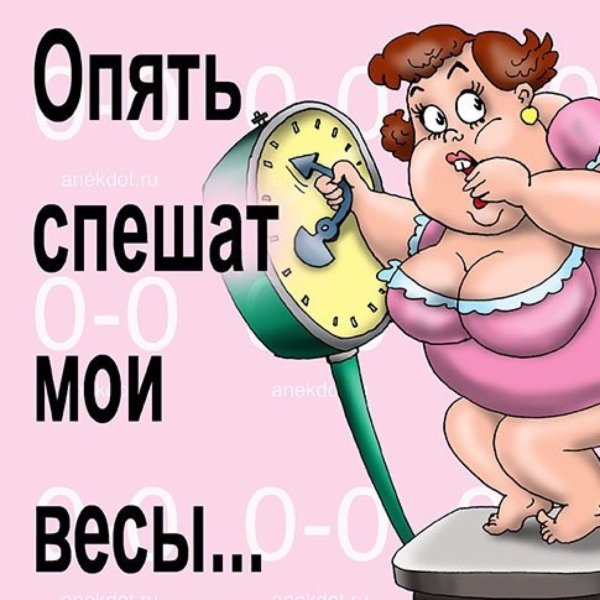 Приколы про диету